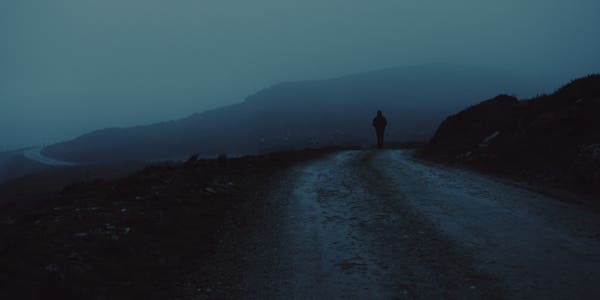 Roam